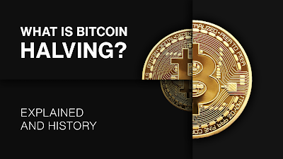 Bitcoin Halving 2024: What It Means for Investors in 2025 by Fazi Blog